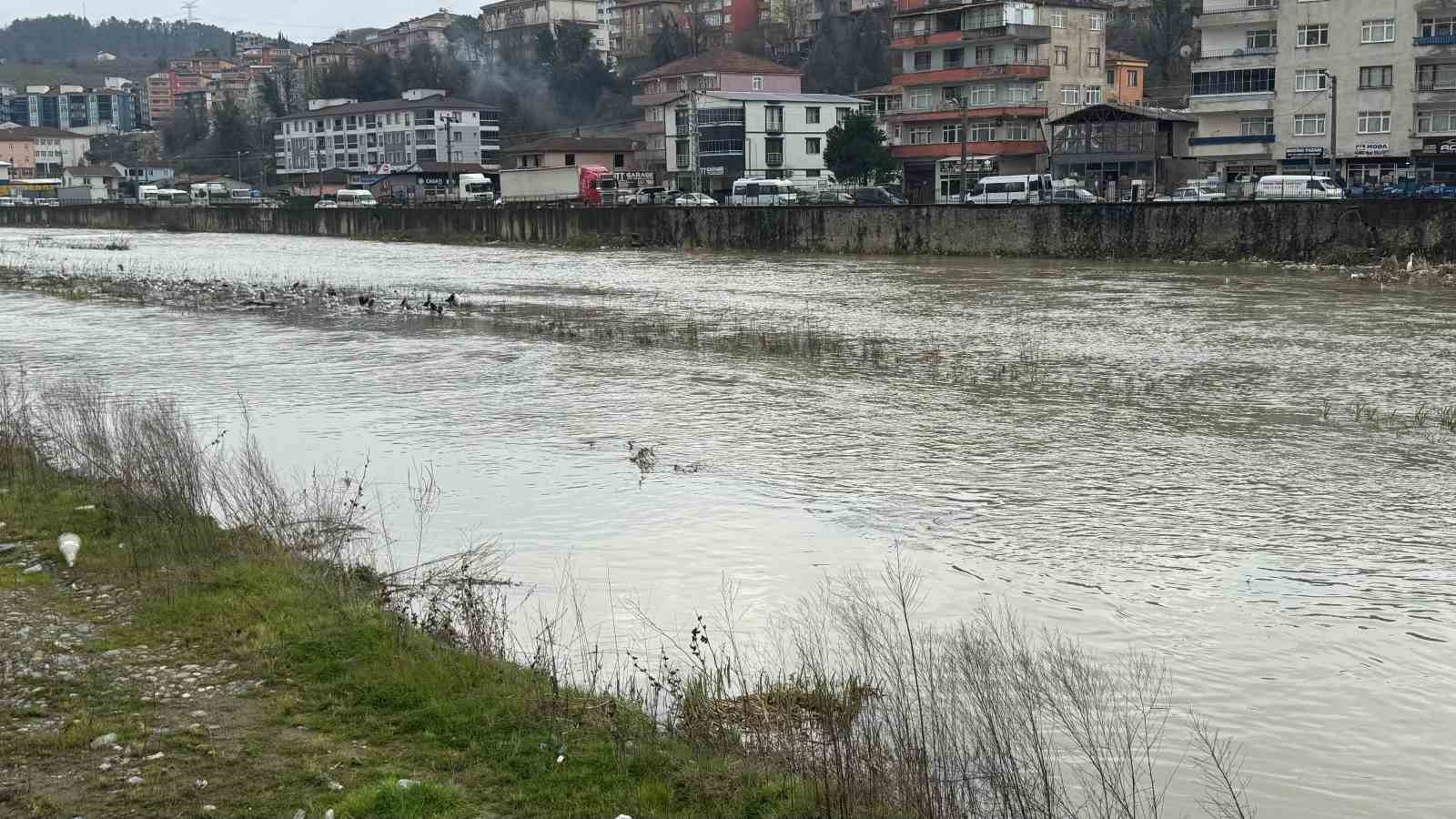 Alaplı Çayı yüzlerce kuş türüne köprü oluyor
