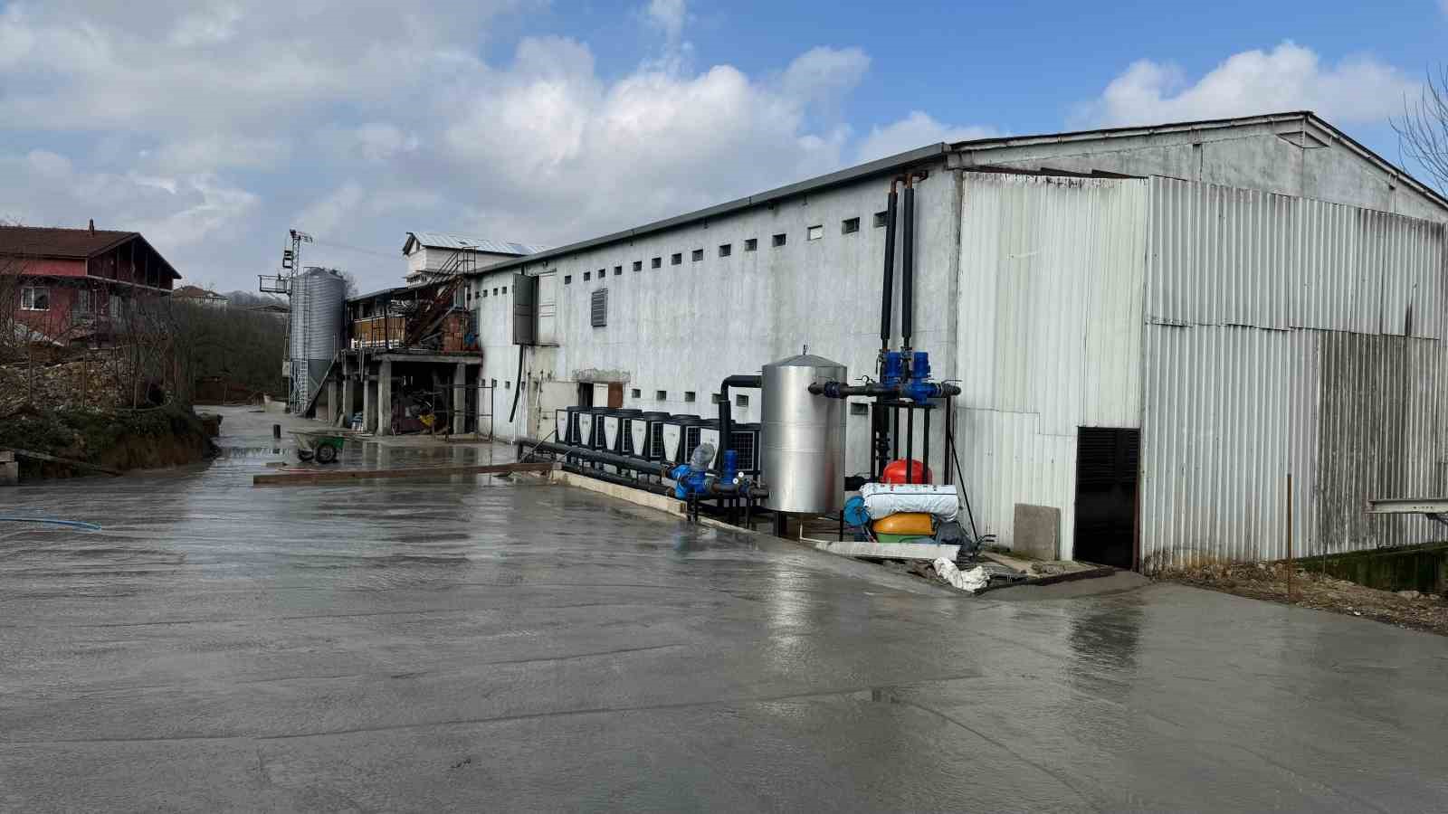 Alaplı Çayı’nda telef olmuş tavukların bulunmasının ardından tavuk çiftliği sahibi suçlamaları reddetti
