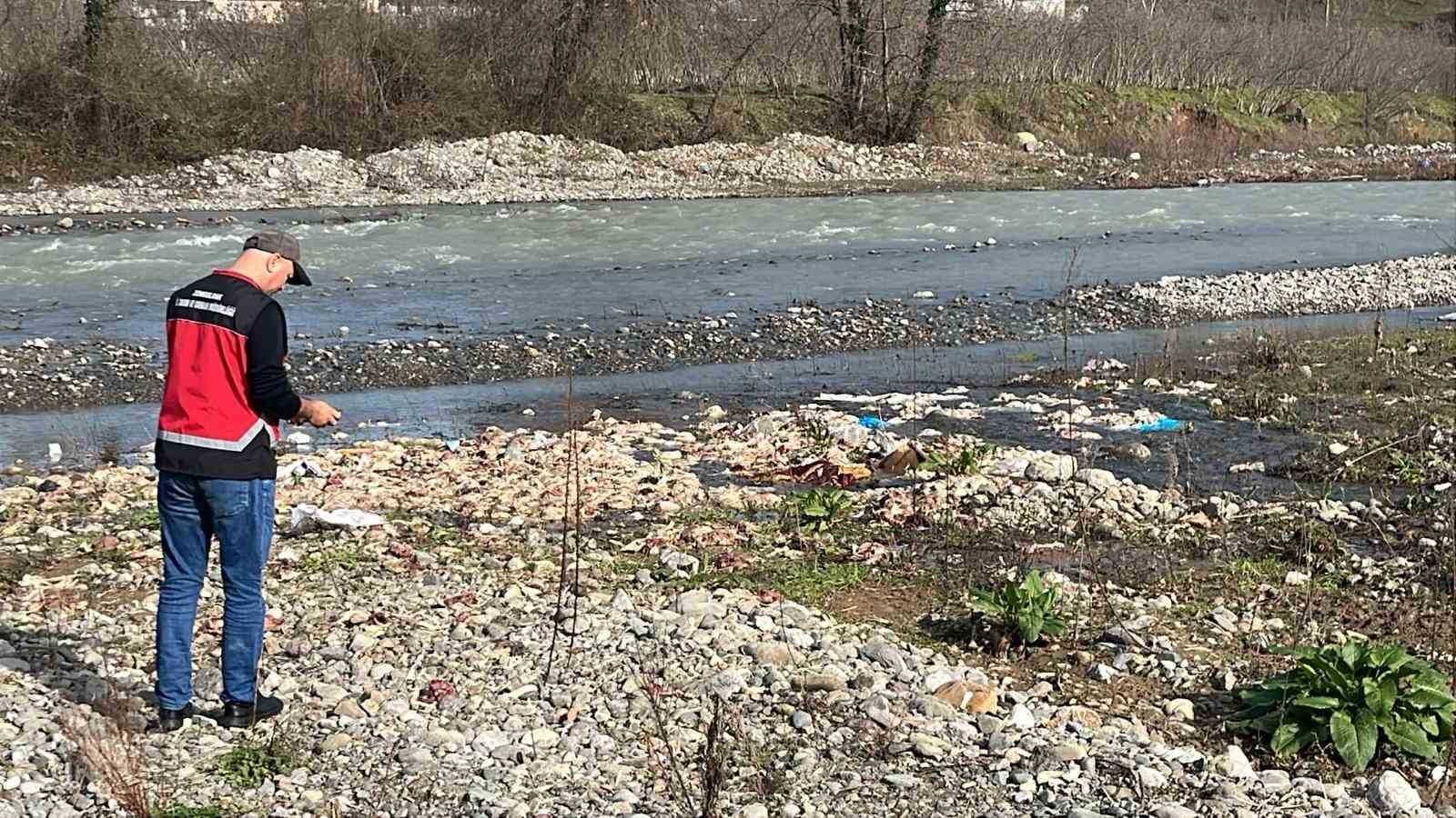Alaplı’da çay yatağında onlarca tavuk ölüsü bulundu
