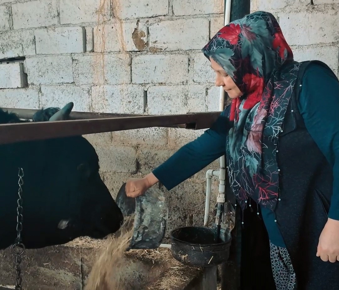Alaşehir Belediyesi’nden 8 Mart’a özel çalışma
