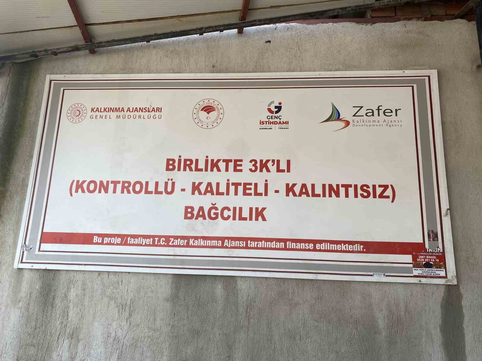 Alaşehir’de "3K Bağcılık" ile kalıntısız üretim başladı
