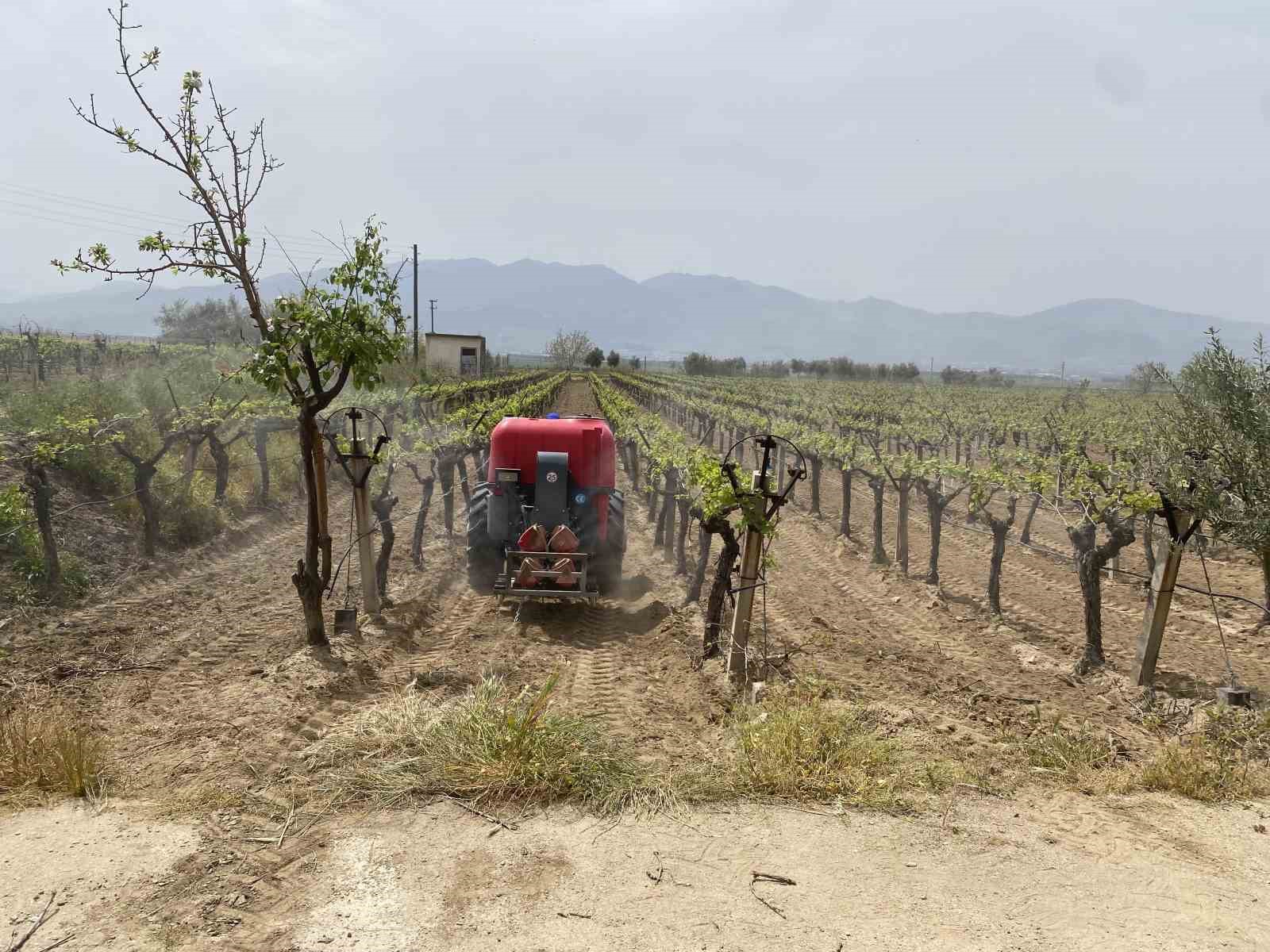 Alaşehir’de "3K Bağcılık" ile kalıntısız üretim başladı
