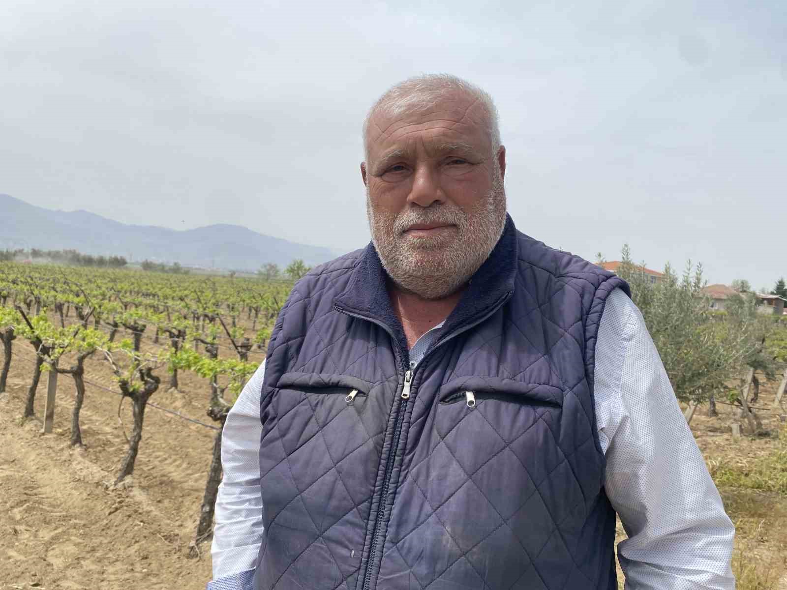 Alaşehir’de "3K Bağcılık" ile kalıntısız üretim başladı
