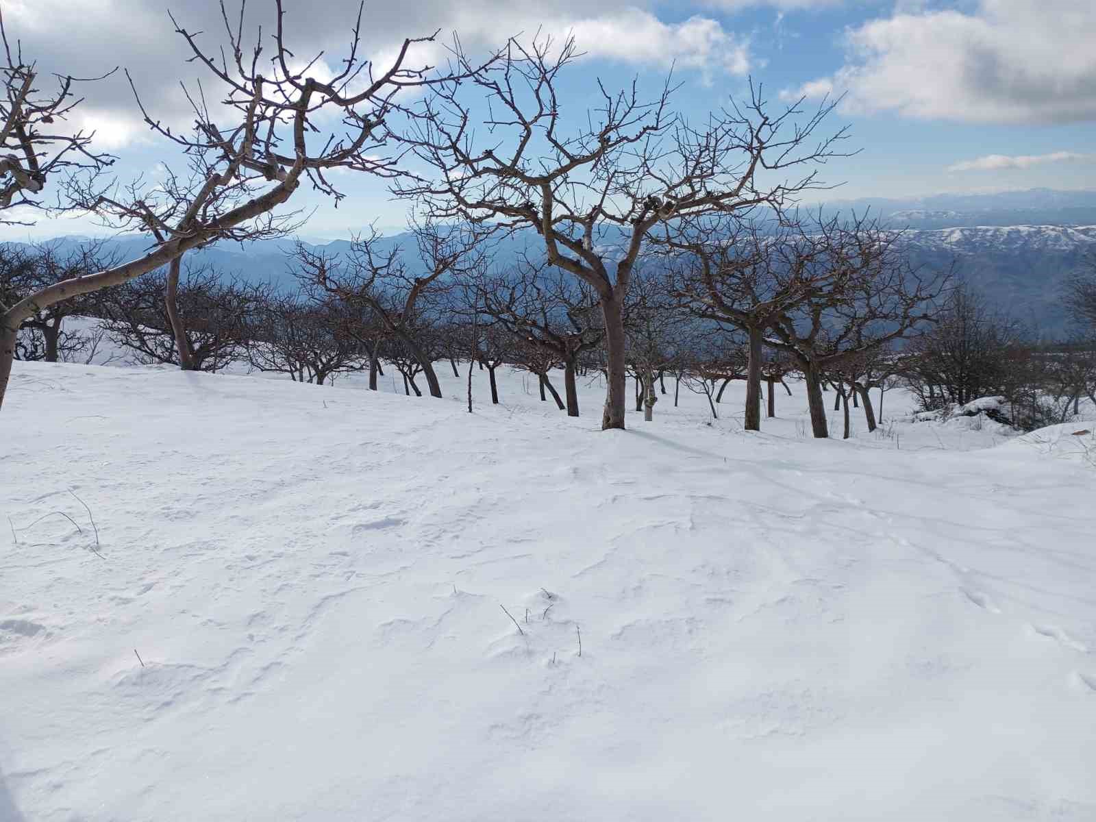 Alaşehir’de yağmur ve kar çiftçiye umut oldu
