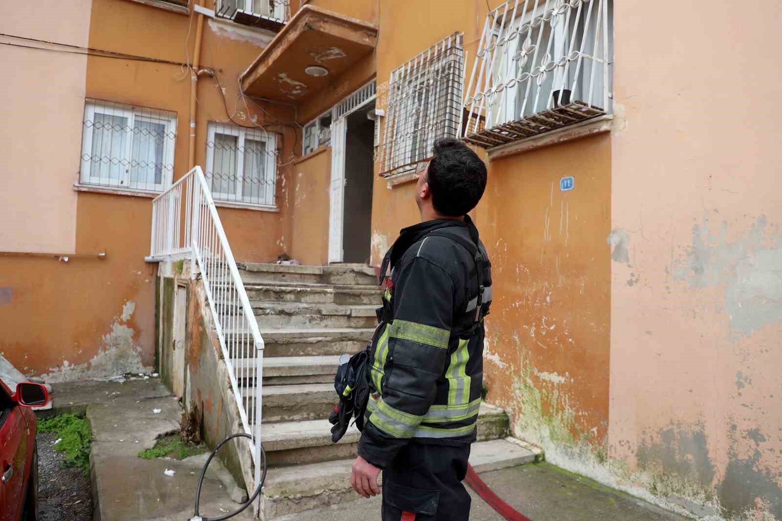 Alevlerin arasından kurtarıldı: İtfaiye hamile kediyi sağ salim çıkardı
