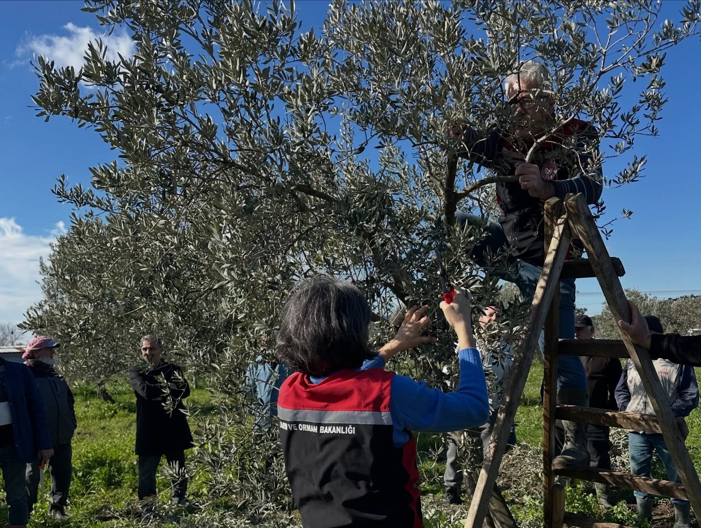 Aliağa’da tarımsal eğitimler aralıksız sürüyor
