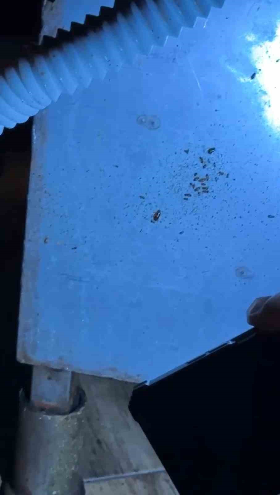 Alışveriş merkezindeki restoranlarda mide bulandıran görüntüler
