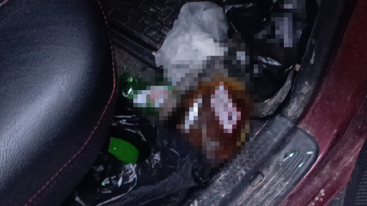 Alkollü sürücü palmiyeye çarptı: 2 yaralı
