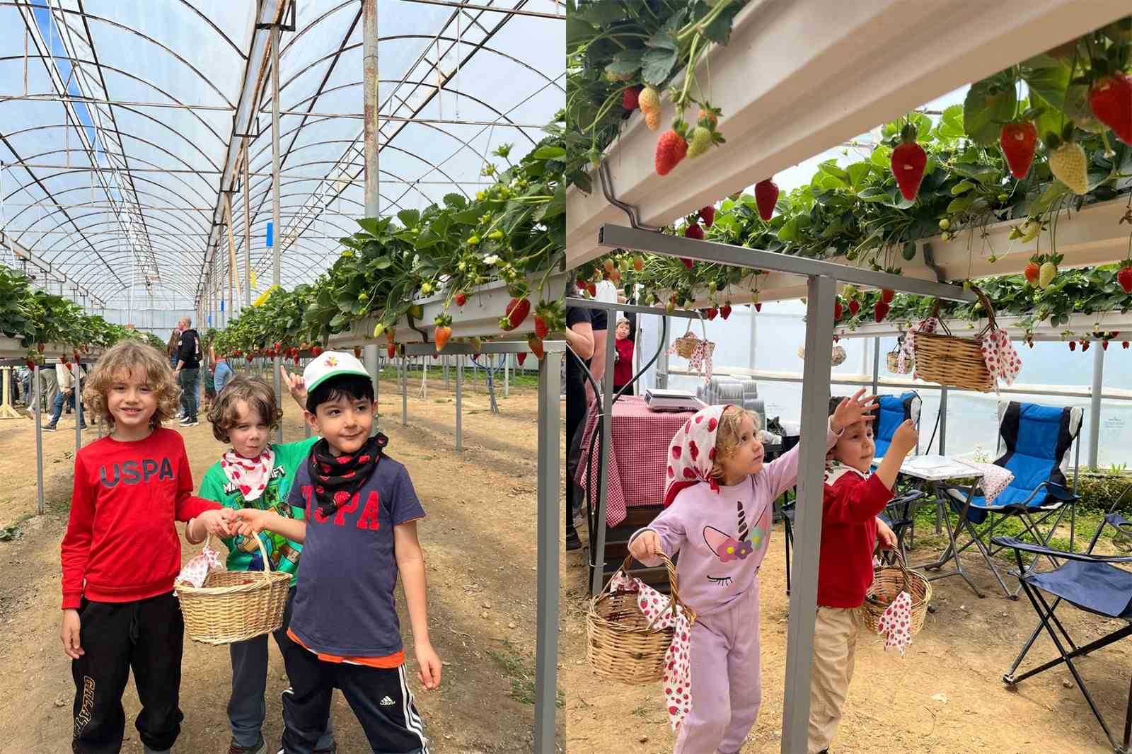 ALKÜ’lü minikler fidan dikip çilek topladı
