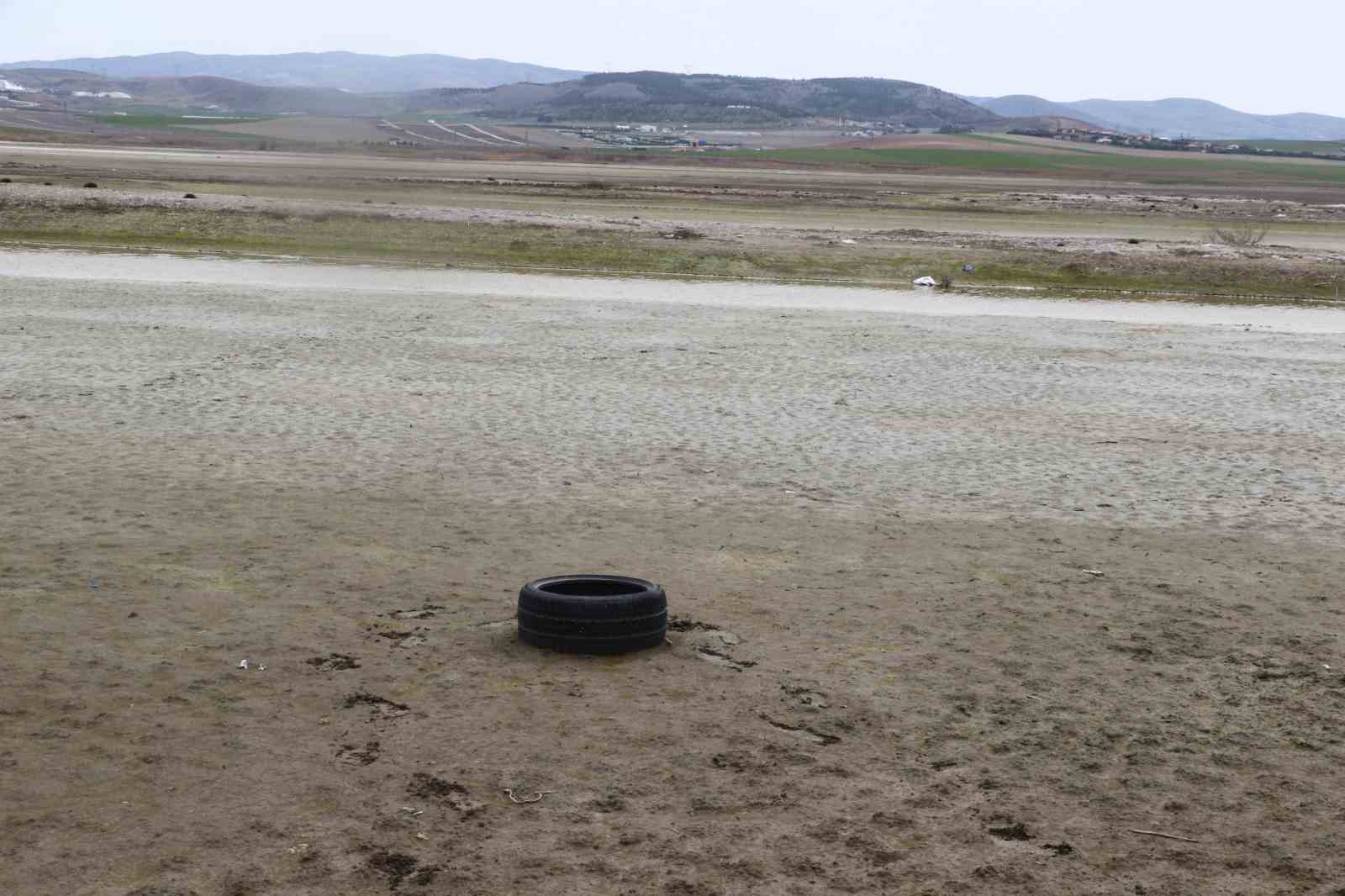 Allı turnaların yuvası yok oluyor
