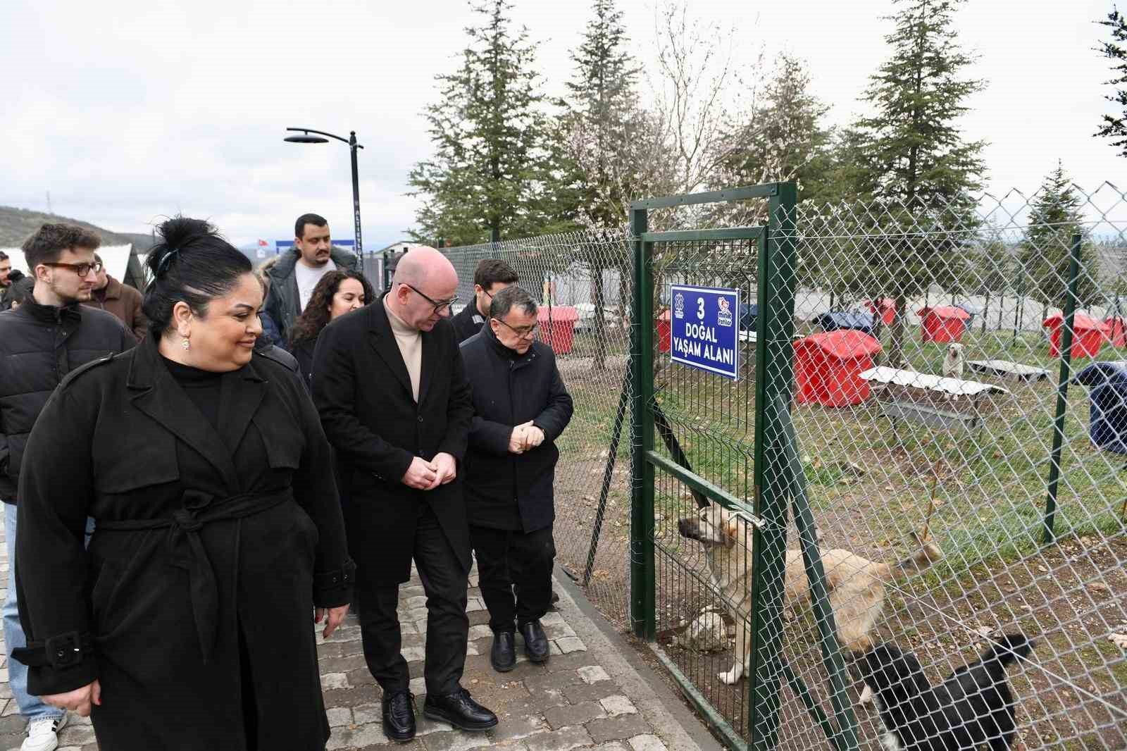 Altıeylül’ de can dostlar sıcak yuva bekliyor
