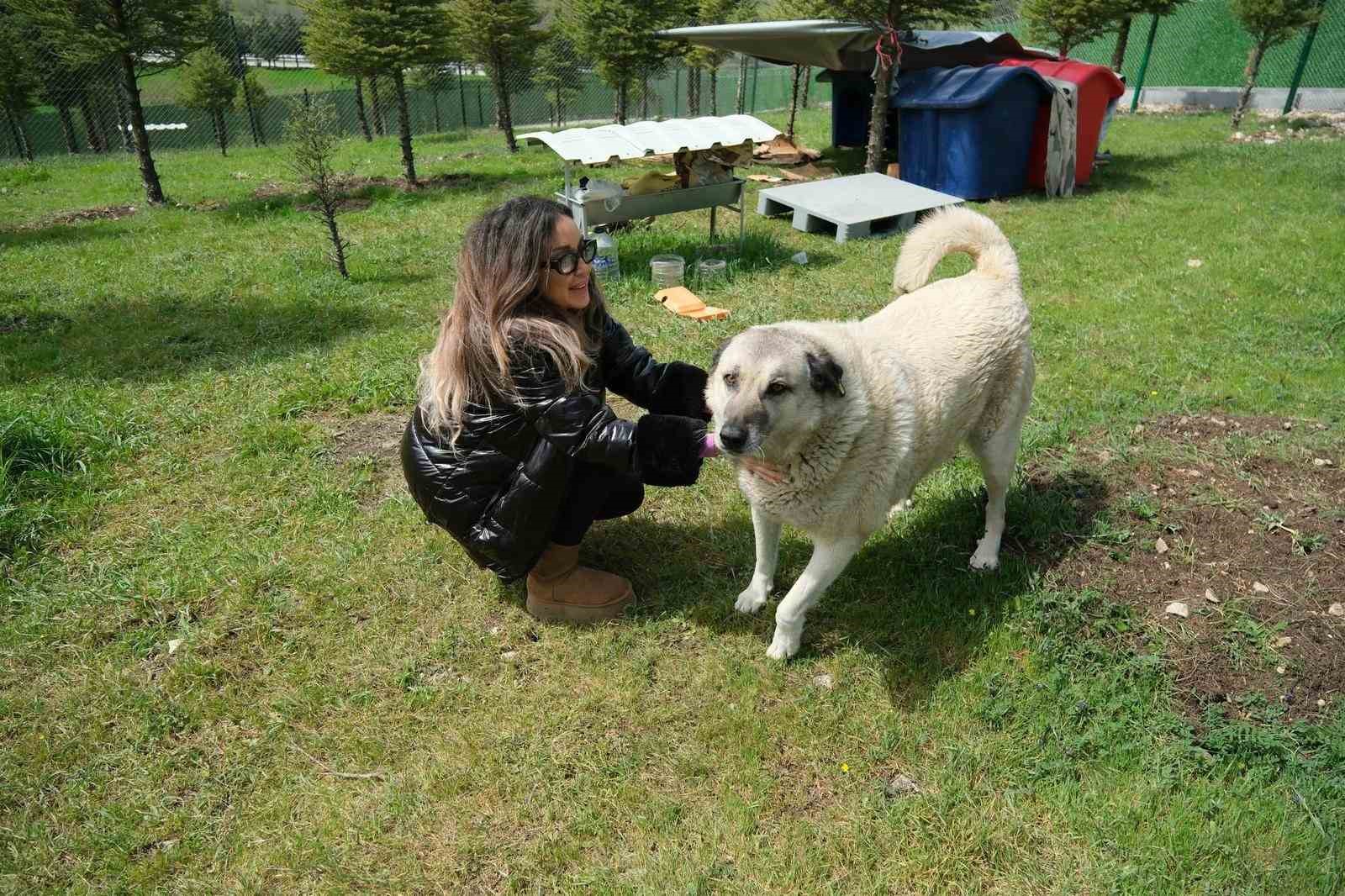 Altıeylül’de can dostlara büyük destek
