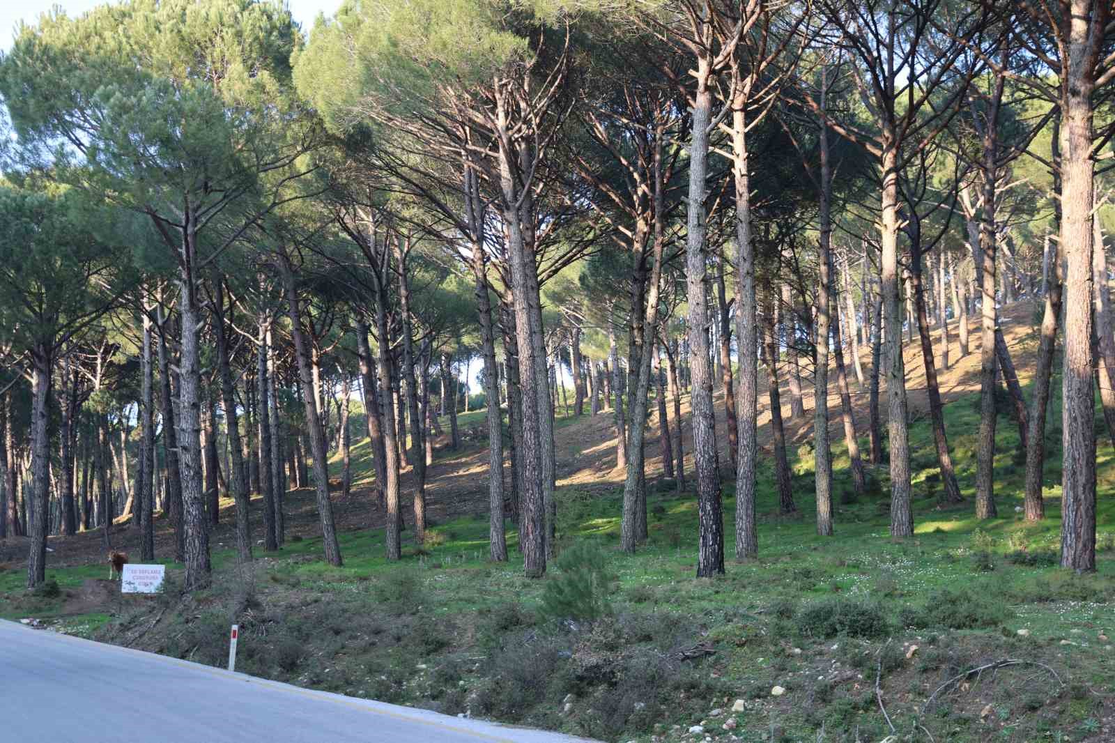 Altın değerindeki künara kameralı önlem
