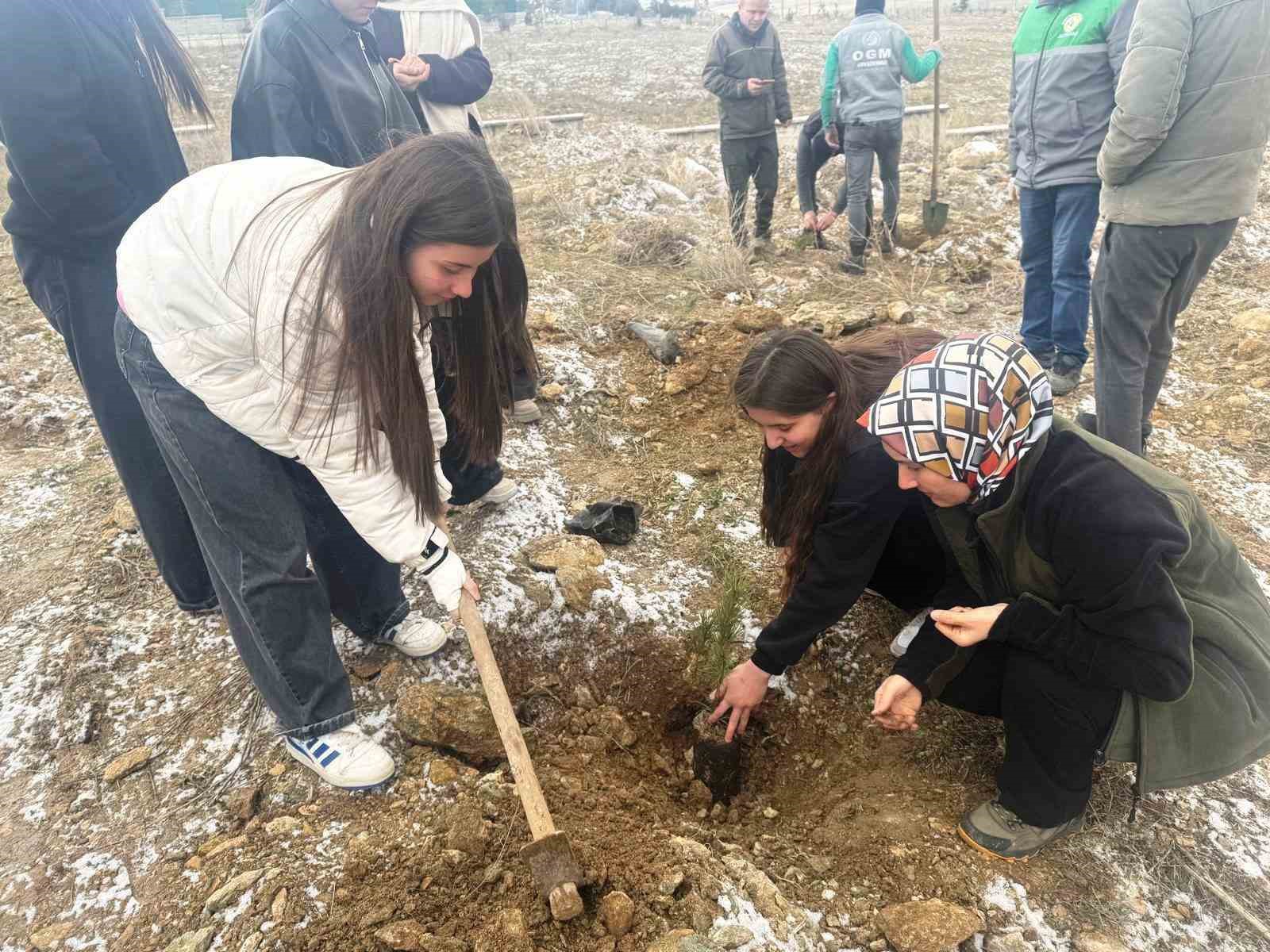 Altıntaş’ta lise öğrencileri fidan dikti
