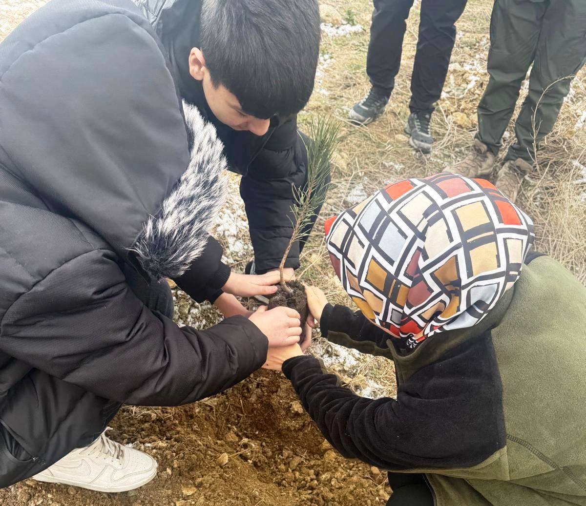 Altıntaş’ta lise öğrencileri fidan dikti
