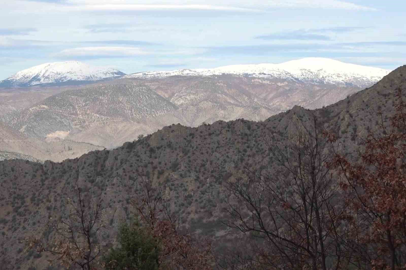 Amasya’nın dağlarında çiçekler açmaya başladı: "Anadolu’daki bitkiler milli servet"
