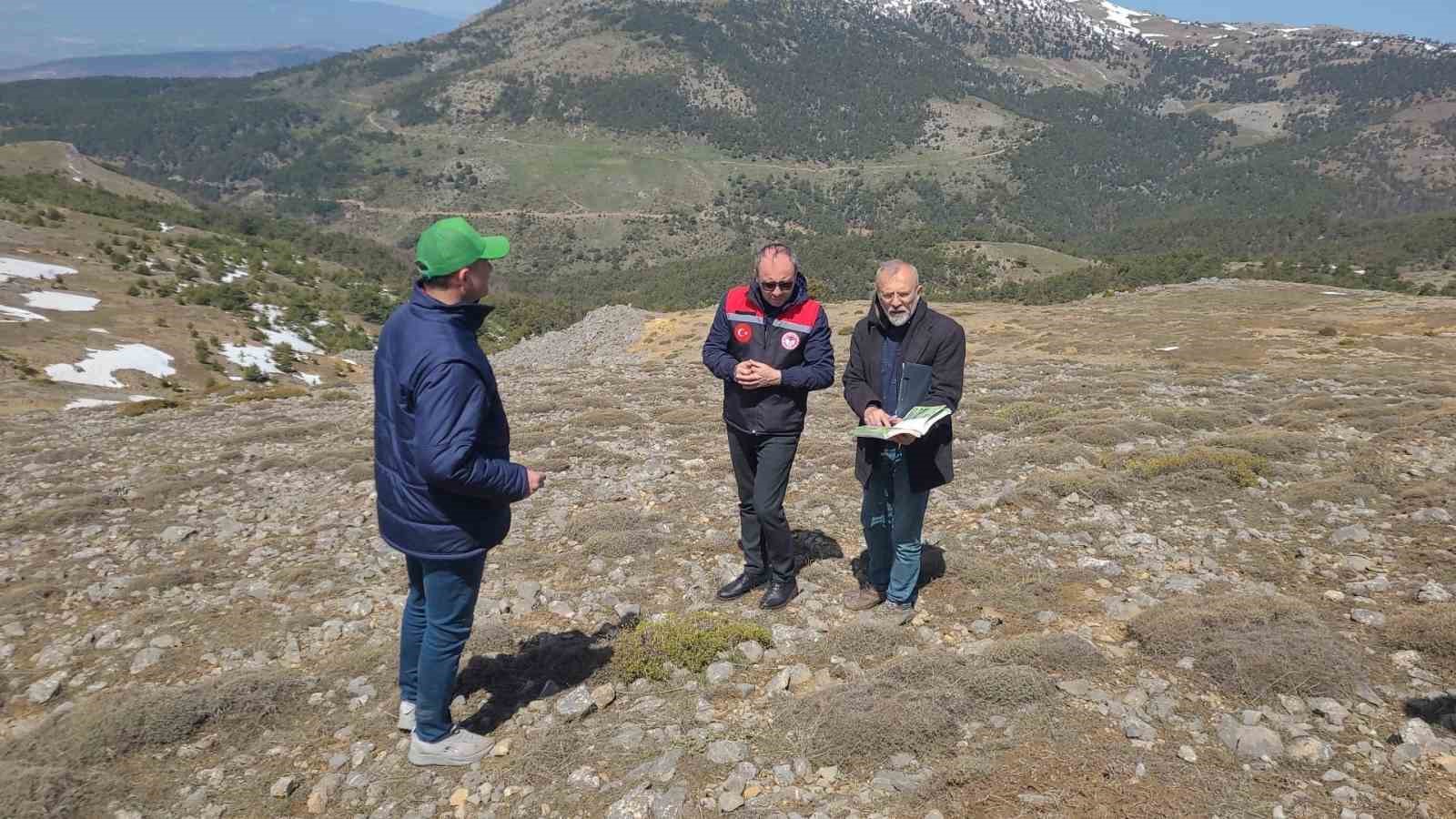 Amasya’nın mera ve yaylalarında otlatma kapasitesi incelemesi
