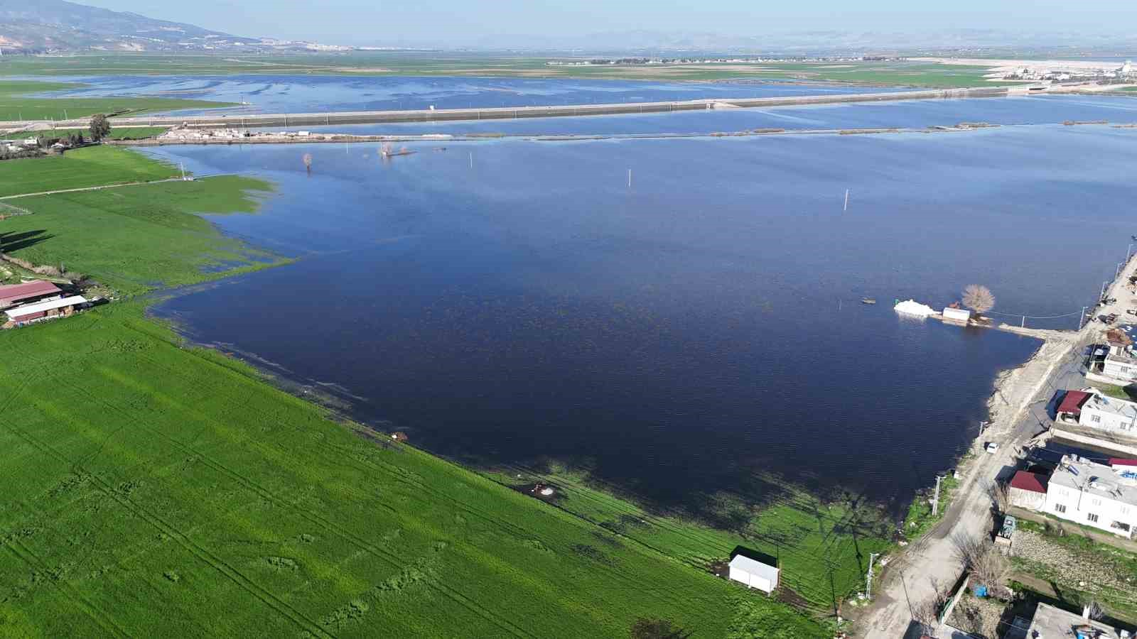 Amik Ovası’nda şiddetli yağışla birlikte tarım arazileri ve evler günlerdir sular altında

