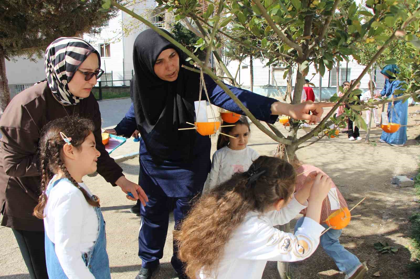 Ana sınıfında portakallar kuşlar için yemlik ve yuvaya dönüştü
