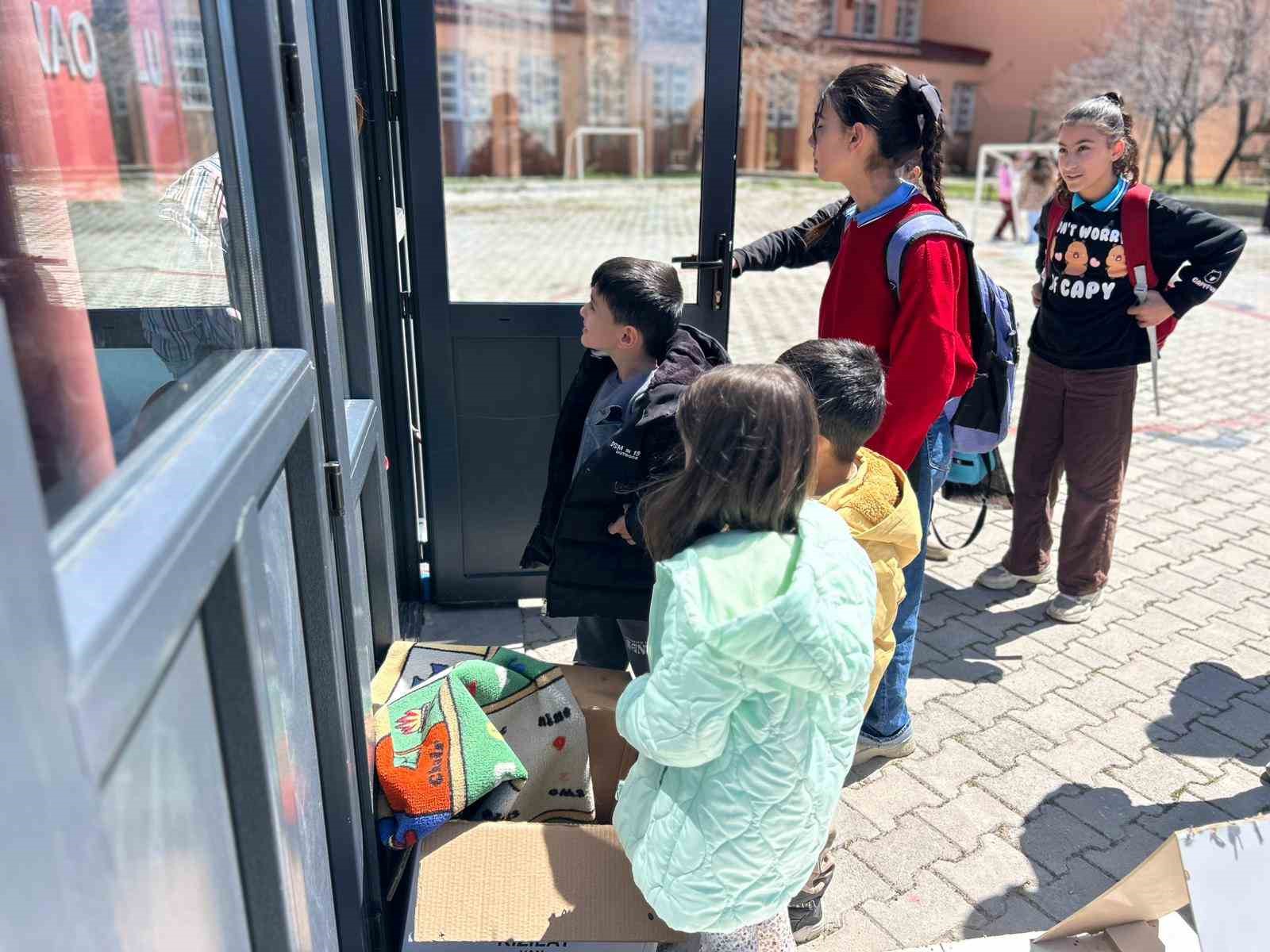 Anaokulunun misafiri ‘Fındık’ 6 yavru dünyaya getirdi
