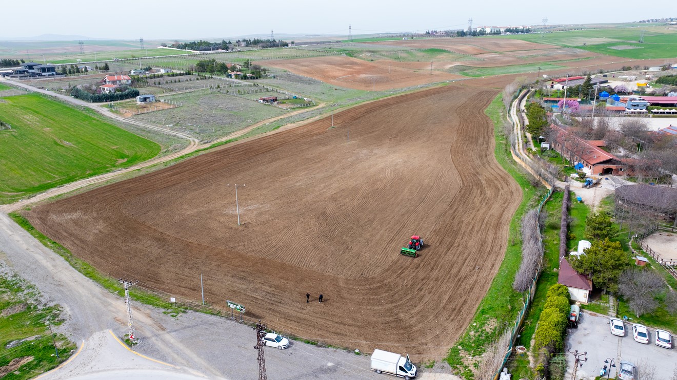 Ankara’da 2026 karabuğday ekim çalışmaları başladı
