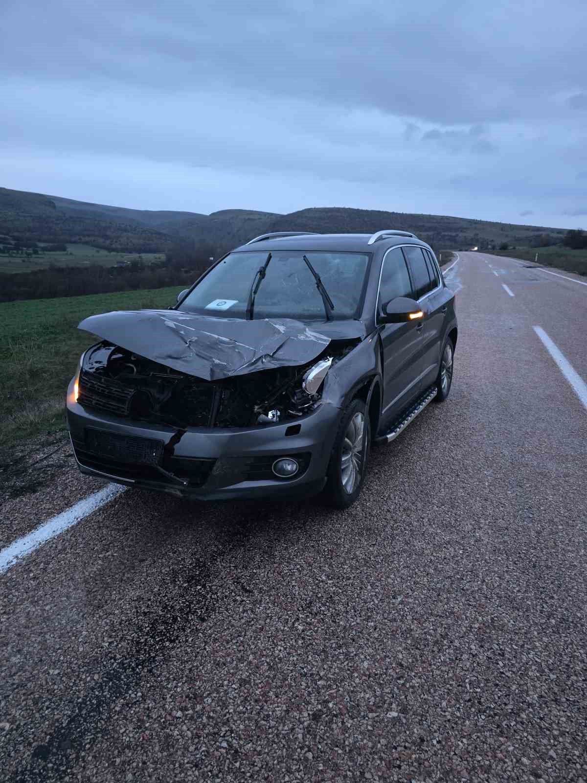 Ankara’da aracın çarptığı geyik telef oldu
