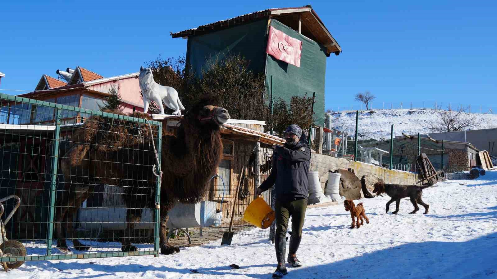 Ankara’da sıra dışı yaşam: Onlarca hayvanla ortak hayat kurdu
Ankara’da sıra dışı yaşam: Onlarca hayvanla ortak hayat kurdu