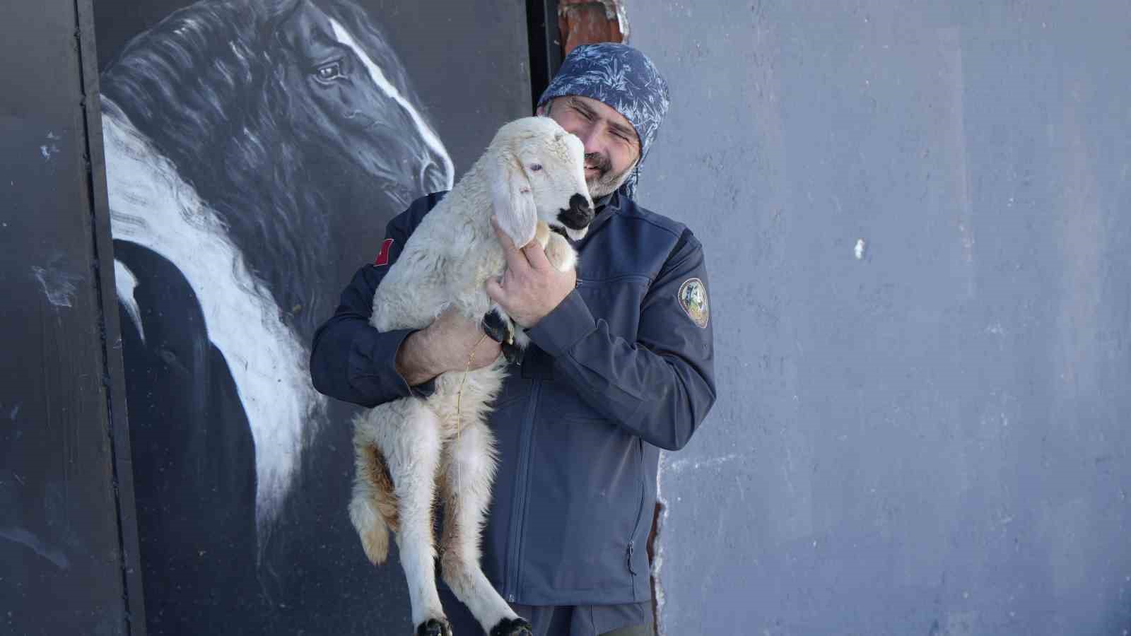 Ankara’da sıra dışı yaşam: Onlarca hayvanla ortak hayat kurdu
Ankara’da sıra dışı yaşam: Onlarca hayvanla ortak hayat kurdu