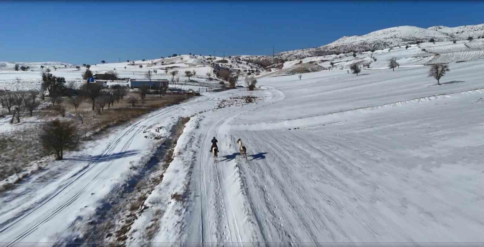 Ankara’da sıra dışı yaşam: Onlarca hayvanla ortak hayat kurdu
Ankara’da sıra dışı yaşam: Onlarca hayvanla ortak hayat kurdu