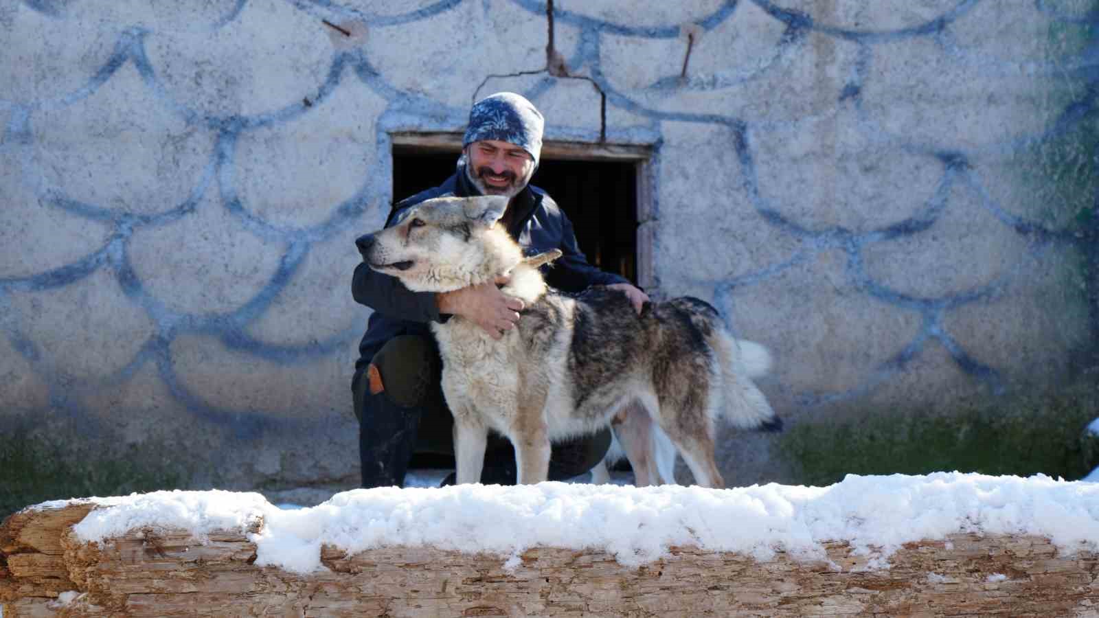Ankara’da sıra dışı yaşam: Onlarca hayvanla ortak hayat kurdu
Ankara’da sıra dışı yaşam: Onlarca hayvanla ortak hayat kurdu
