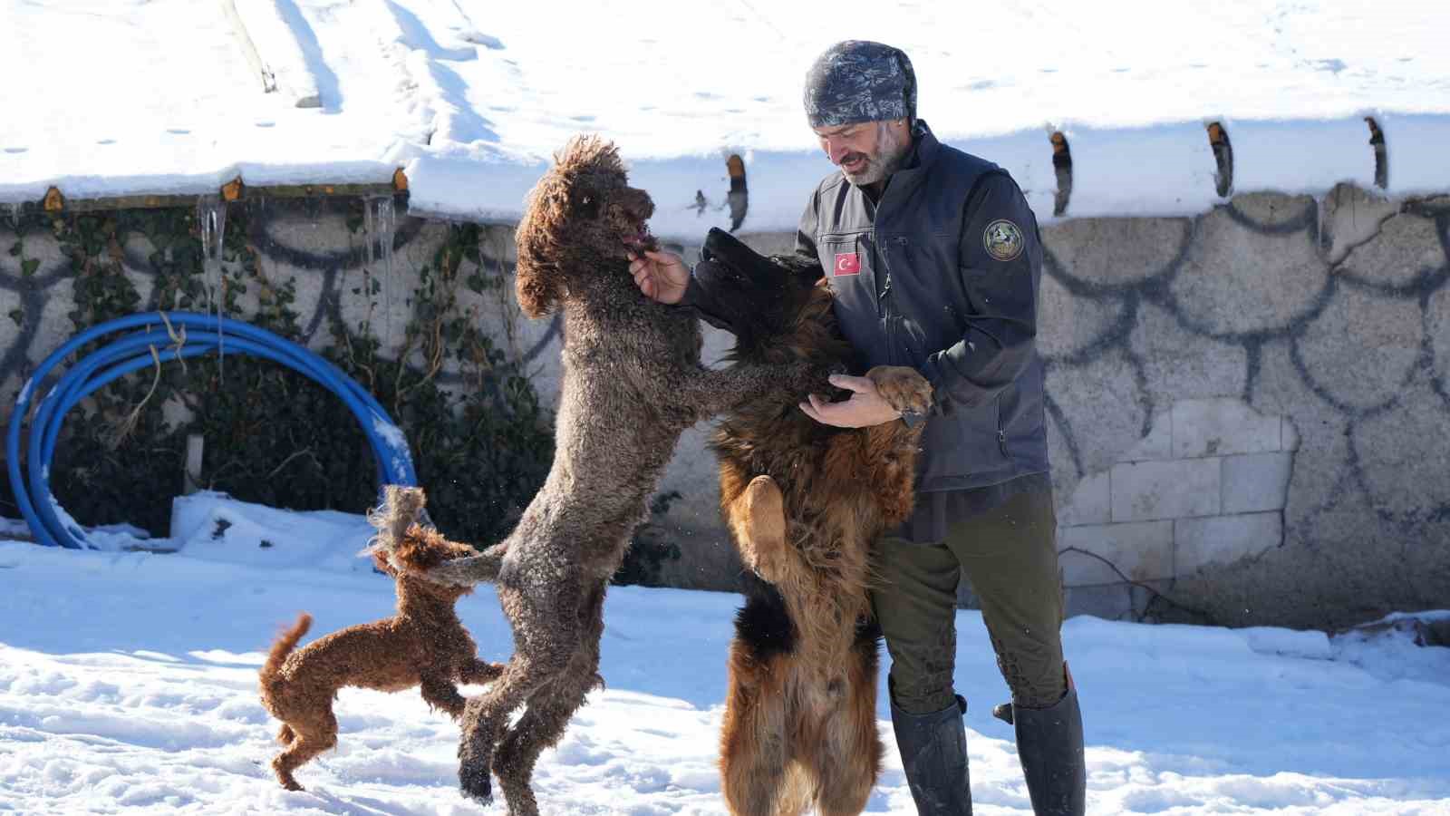 Ankara’da sıra dışı yaşam: Onlarca hayvanla ortak hayat kurdu
Ankara’da sıra dışı yaşam: Onlarca hayvanla ortak hayat kurdu