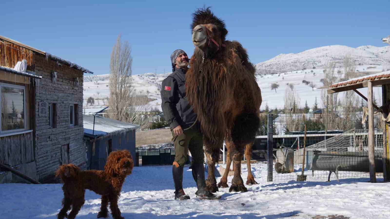 Ankara’da sıra dışı yaşam: Onlarca hayvanla ortak hayat kurdu
Ankara’da sıra dışı yaşam: Onlarca hayvanla ortak hayat kurdu