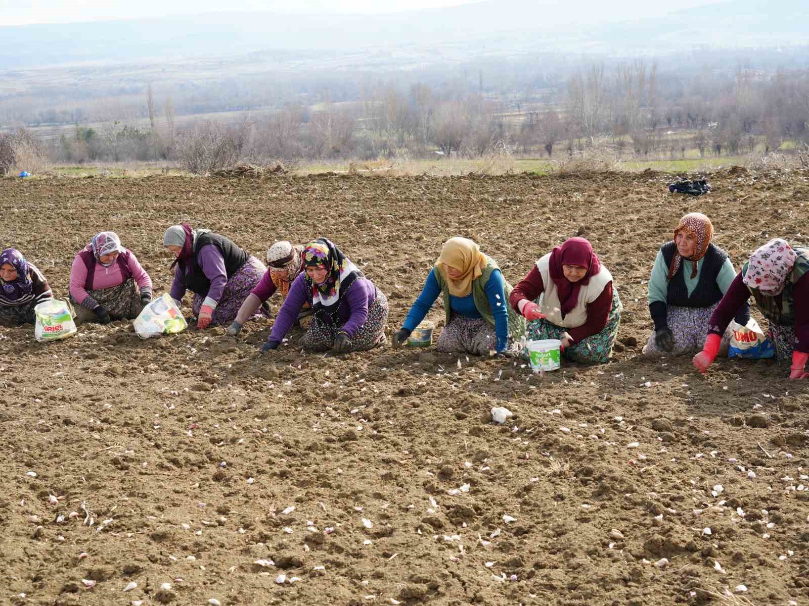 Annenin fedakarlık dolu yolculuğu: Çocukları için megakenti bırakıp toprağa sarıldı
