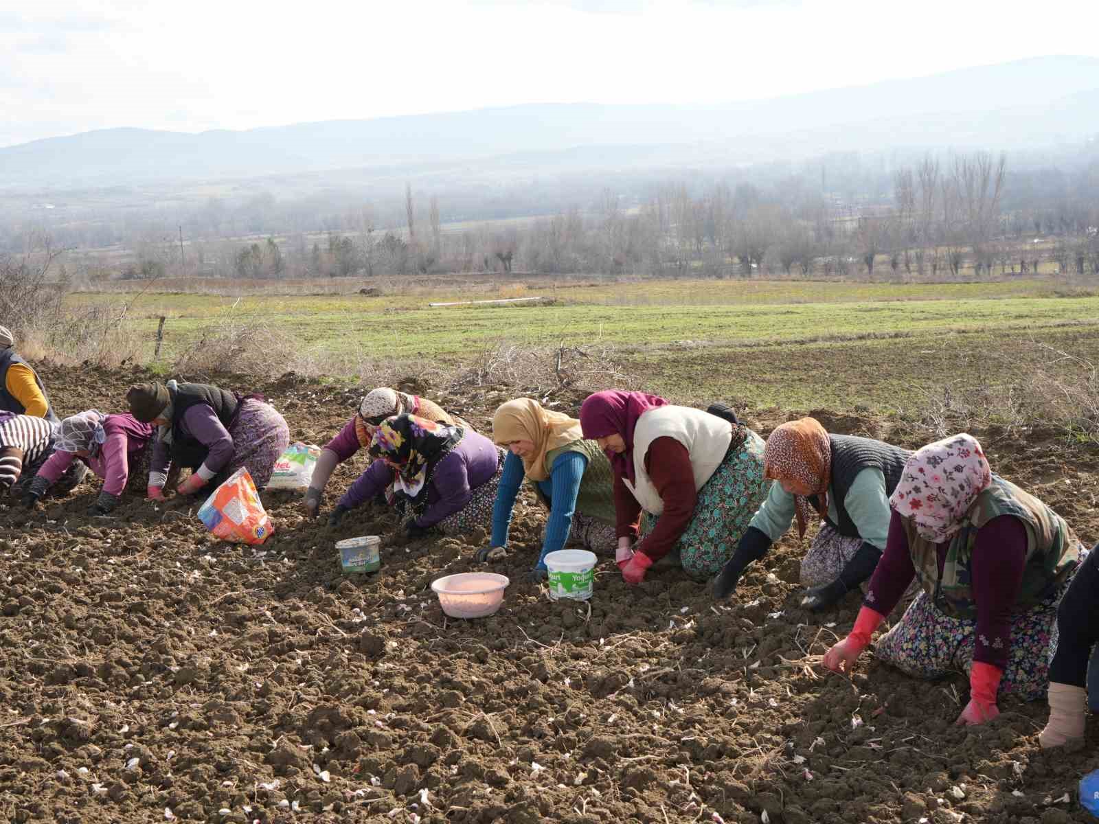 Annenin fedakarlık dolu yolculuğu: Çocukları için megakenti bırakıp toprağa sarıldı
