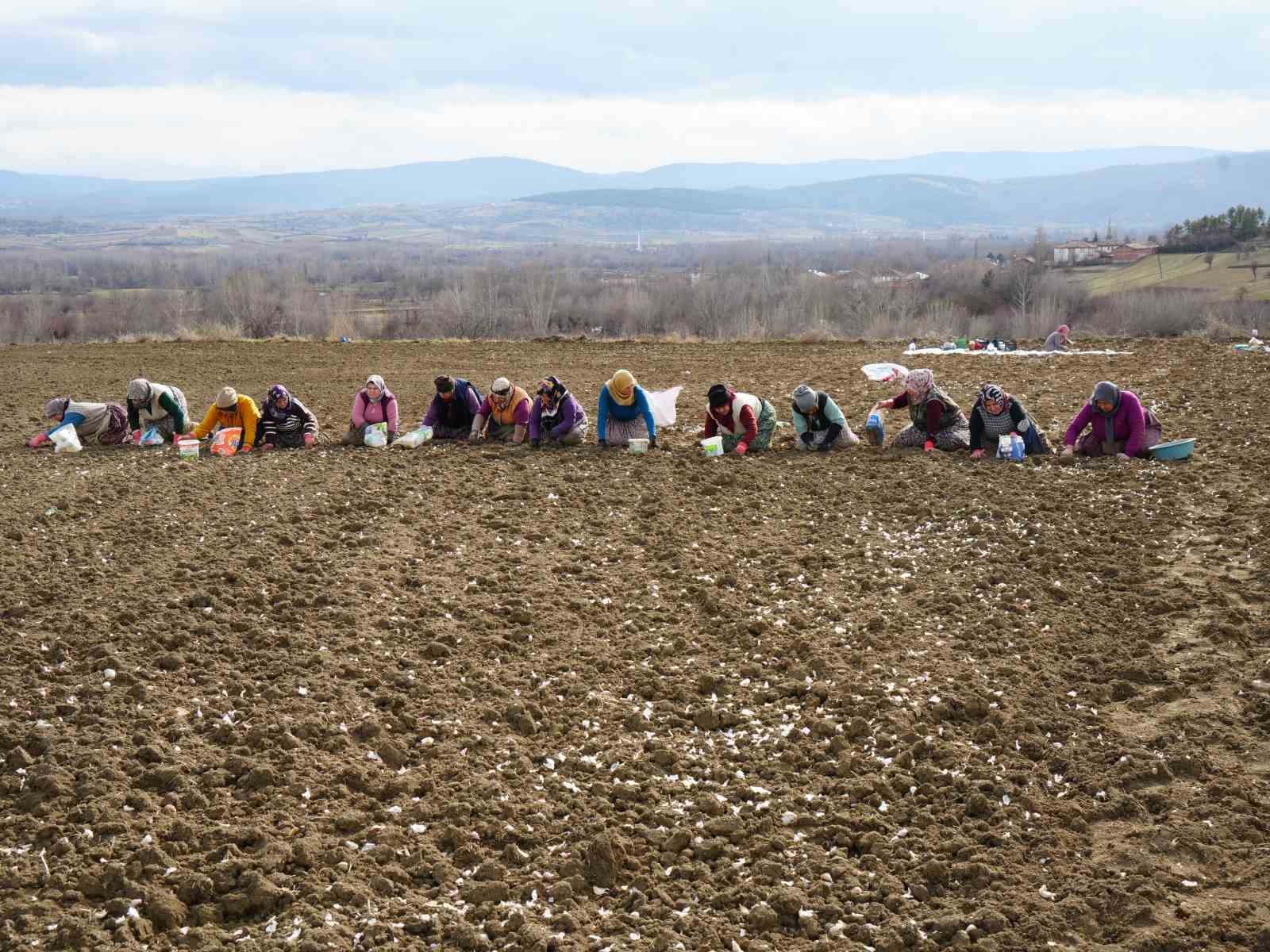 Annenin fedakarlık dolu yolculuğu: Çocukları için megakenti bırakıp toprağa sarıldı
