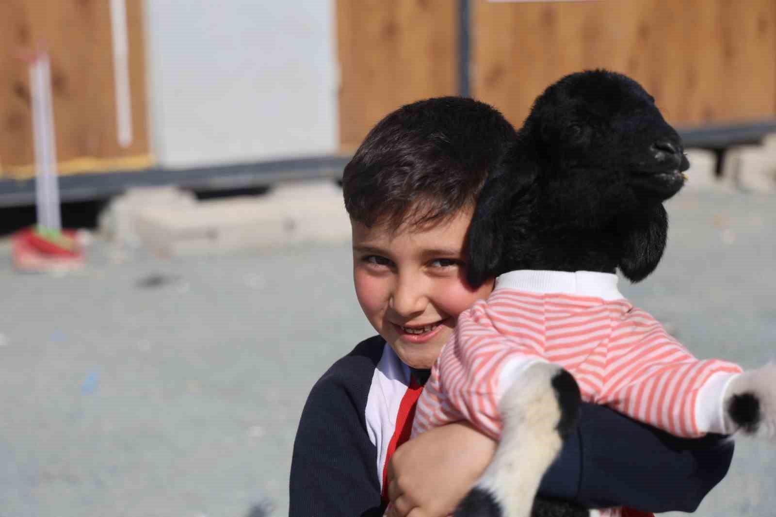 Annesi doğumda telef olan ’Boncuk’ kuzu, elbisesi ve biberonuyla ilgi odağı oldu
