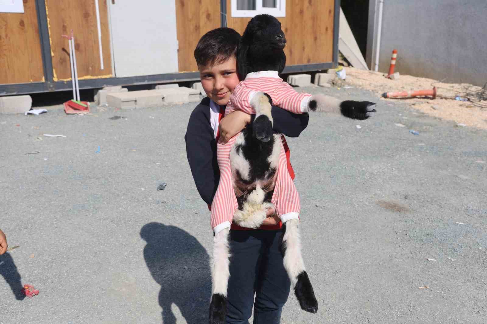 Annesi doğumda telef olan ’Boncuk’ kuzu, elbisesi ve biberonuyla ilgi odağı oldu
