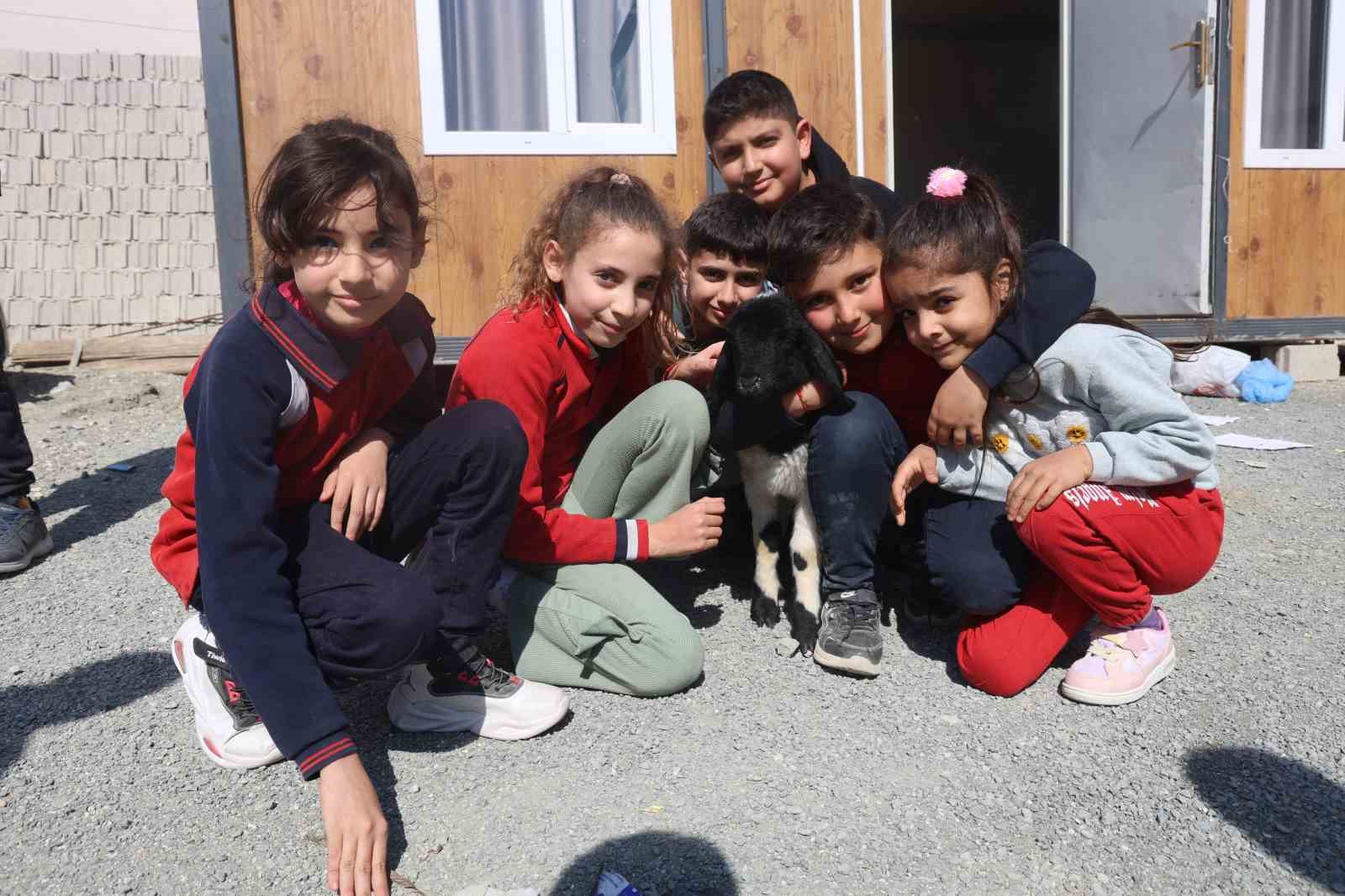 Annesi doğumda telef olan ’Boncuk’ kuzu, elbisesi ve biberonuyla ilgi odağı oldu
