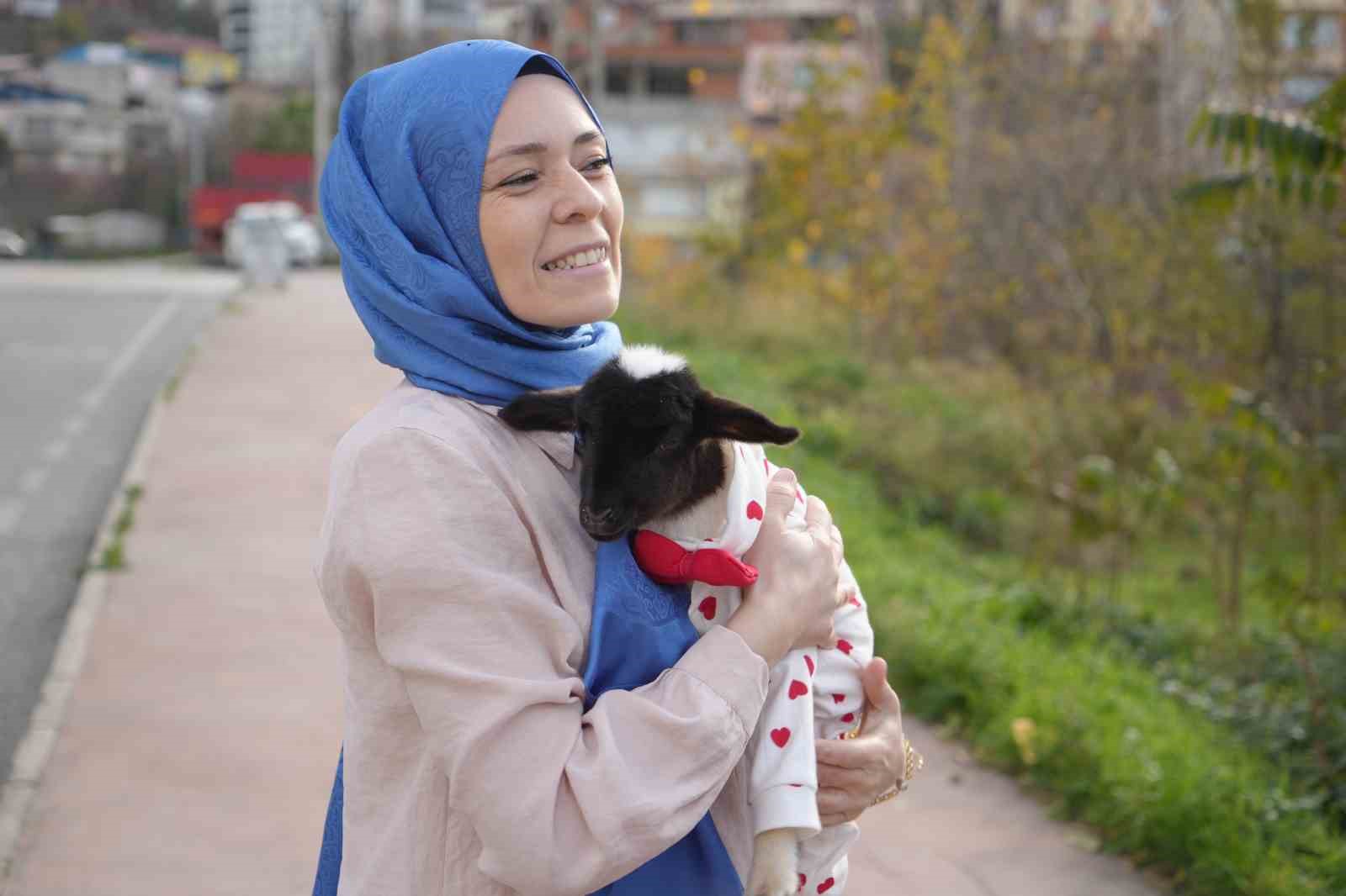 Annesi ölen kuzuya evinde bebek gibi bakıyor
Annesi ölen kuzuya evinde bebek gibi bakıyor