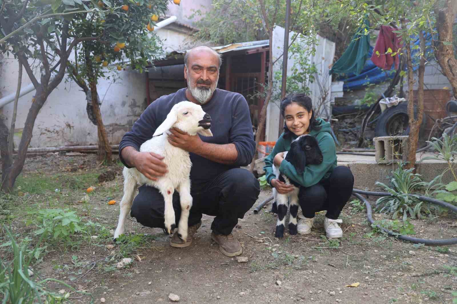 Annesi telef olan kuzuya şefkatle yaklaşan aile, Karabaş’ı biberonla besliyor
