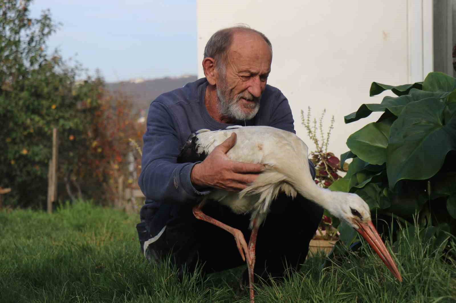 Annesinin yuvadan attığı leyleğe, mahalleli anne ve baba oldu
