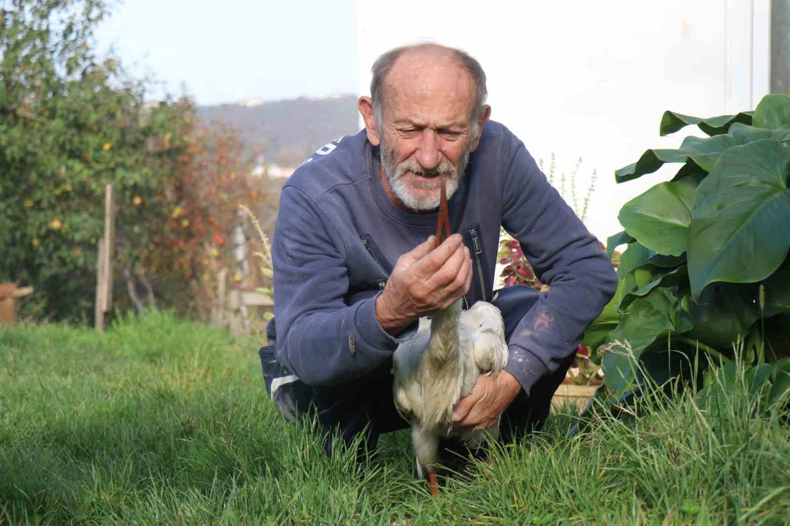 Annesinin yuvadan attığı leyleğe, mahalleli anne ve baba oldu
