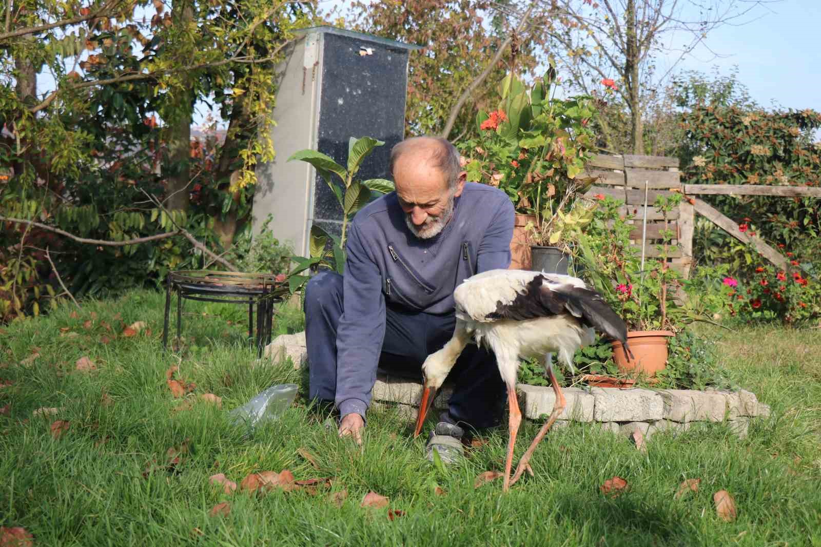 Annesinin yuvadan attığı leyleğe, mahalleli anne ve baba oldu
