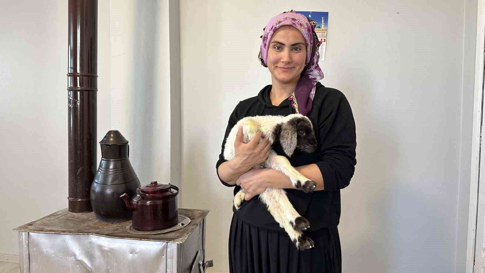 Annesiz kalan kuzu ailenin ‘Umut’u oldu
Annesiz kalan kuzu ailenin ‘Umut’u oldu