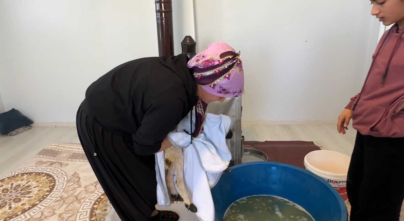 Annesiz kalan kuzu ailenin ‘Umut’u oldu
Annesiz kalan kuzu ailenin ‘Umut’u oldu