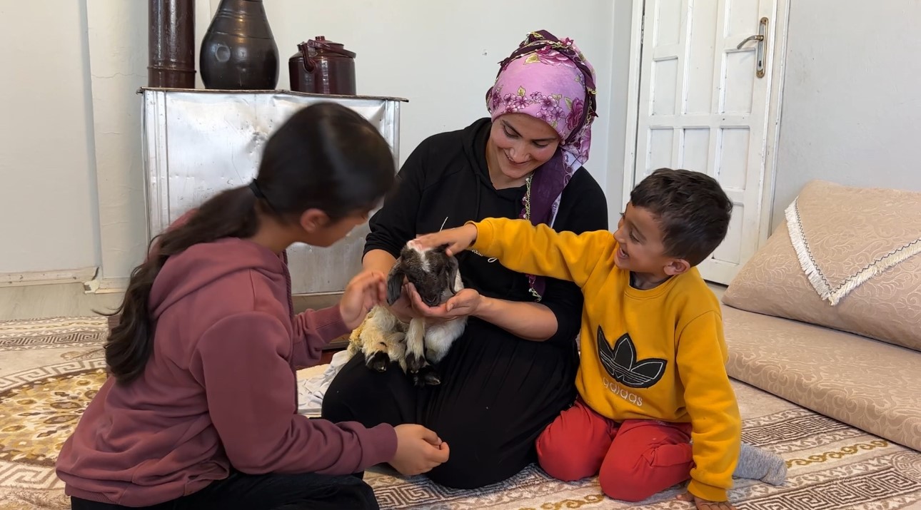 Annesiz kalan kuzu ailenin ‘Umut’u oldu
Annesiz kalan kuzu ailenin ‘Umut’u oldu