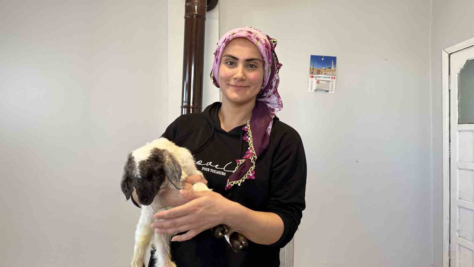 Annesiz kalan kuzu ailenin ‘Umut’u oldu
Annesiz kalan kuzu ailenin ‘Umut’u oldu