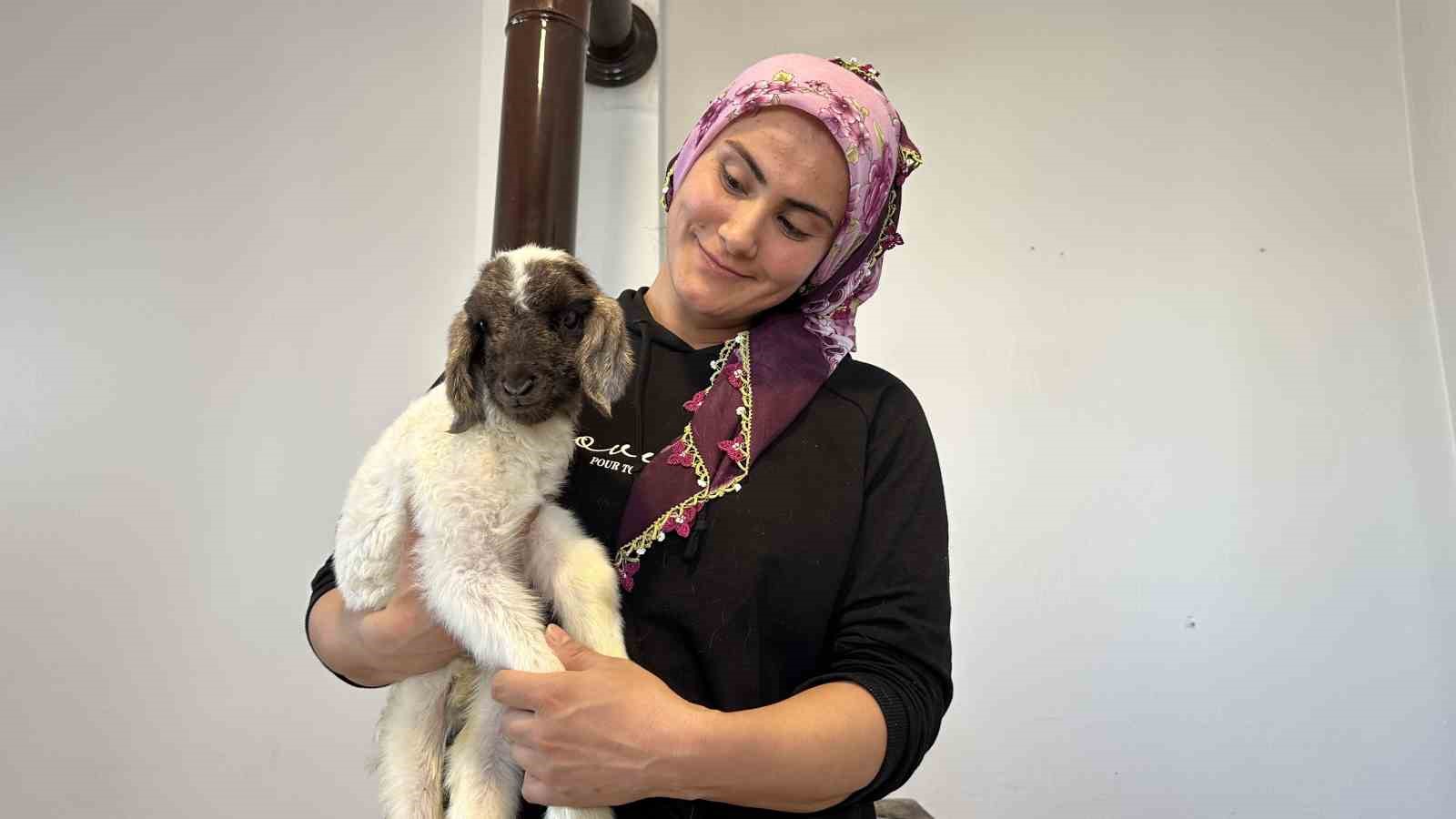 Annesiz kalan kuzu ailenin ‘Umut’u oldu
Annesiz kalan kuzu ailenin ‘Umut’u oldu