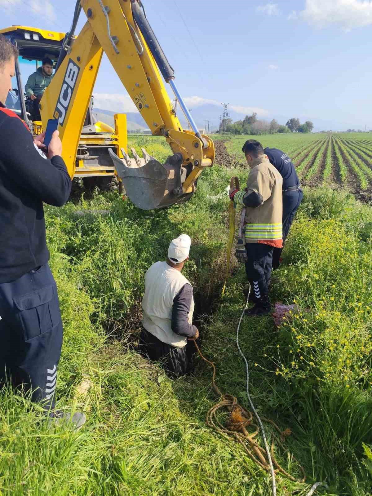 Antakya’da kuyuya düşen büyükbaş hayvan kurtarıldı
