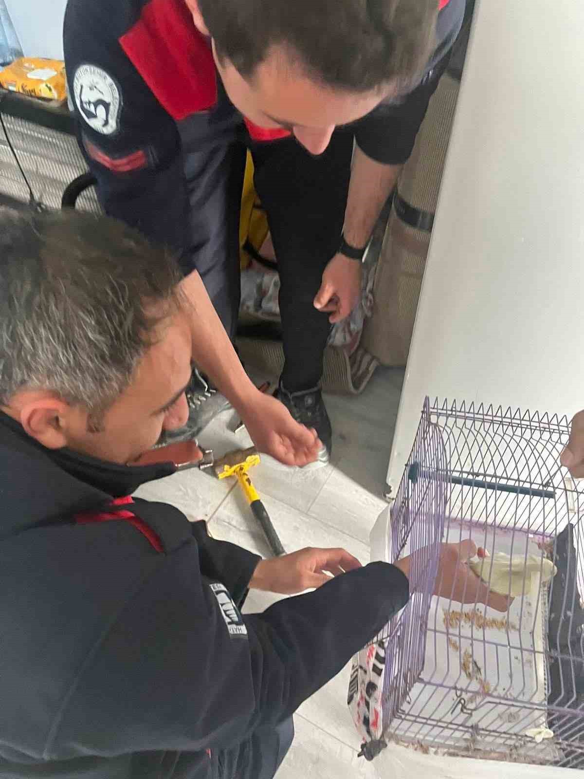 Antakya’da profil demirine sıkışan kuş kurtarıldı
